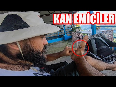 5 AY Sonra İLK SEYAHAT !! Nepal-Pokhara ~292