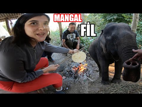 TAYLAND'DA MANGAL YAPMAK (3 Türk 1 HİNTLİ 1 FİL) ~247