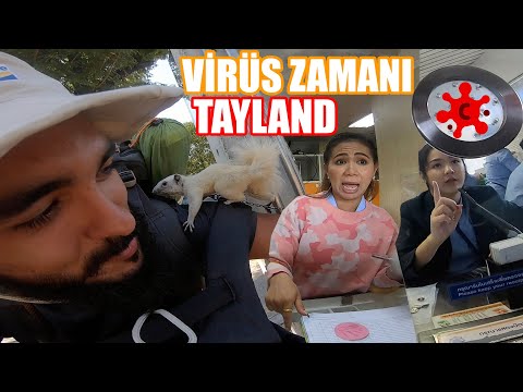 Tayland'daki Toplu Taşıma Araçları (Gece Otobüsü) ~244