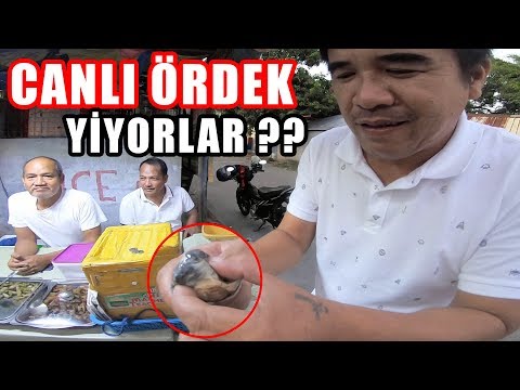 Filipinler'de CANLI ÖRDEK YUMURTASI Yiyorlar !! ~206