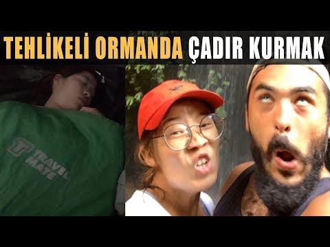 Tehlikeli Ormanda Çadır Kurmak !! (Başınıza Neler Gelebilir) ~177