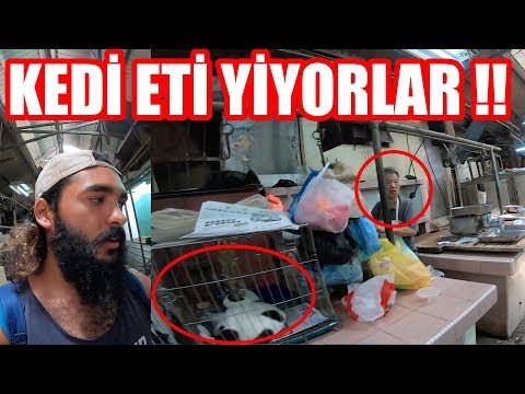 Kedi Eti Yiyorlar !! İkiz Kuleleri Ziyaret Ettim Malezya ~123