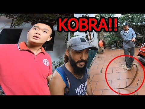 Kobra Yiyorlar !!! VİETNAM ~75