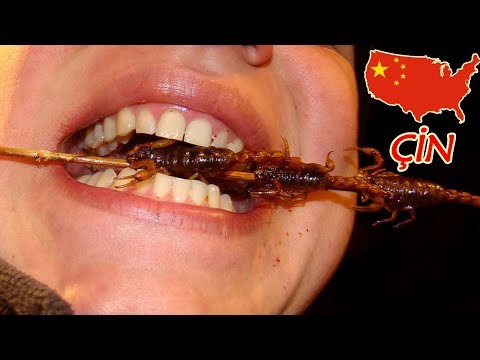 ÇİNLİLER AKREP, BÖCEK YİYORLAR !!! #38