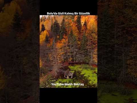 Bolu’da Gizli Kalmış Güzellik (Araç Gitmiyor)