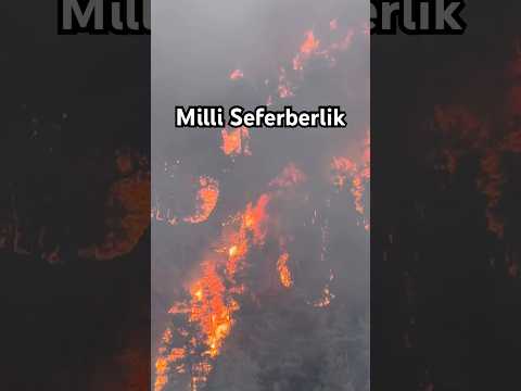 Milli Seferberlik 11 Kasım’da Araziye Çıktım