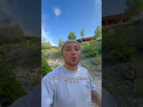 Bu Şehirimiz Hassas Koruma Altında ⚠️