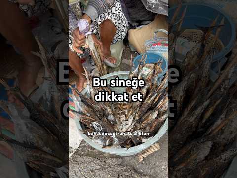 Bali ve Tayland’a gitmeden bu sinekten haberdar ol