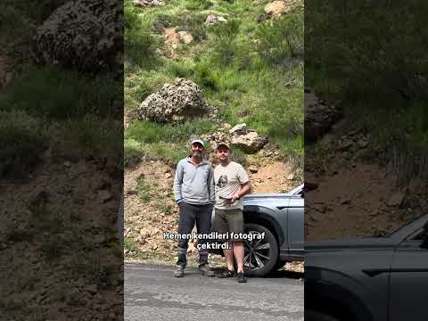 Ayıyla Burun Buruna - Tunceli