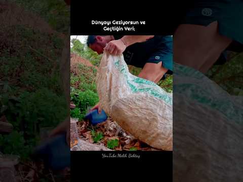 Çöp Toplayarak Dünyayı Gezmek