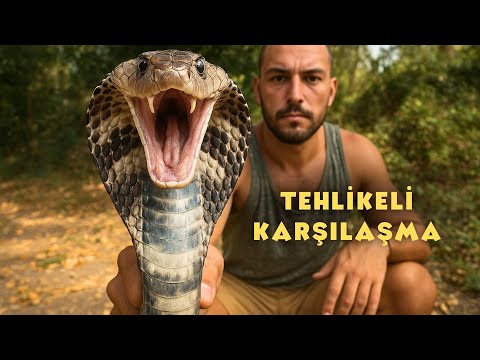 Yağmur Ormanlarında Zehirli Yılanla Karşılaştım | Tayland Macerası