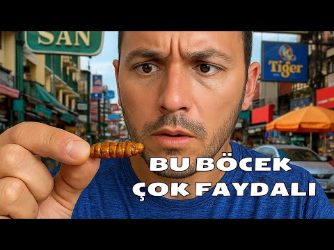 Bu BÖCEK Tezgahta Yok Satıyor - İŞTE TAYLAND'DA GERÇEK HAYAT