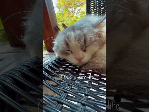 Huzurlu Bir Hayat Mümkün Mü?