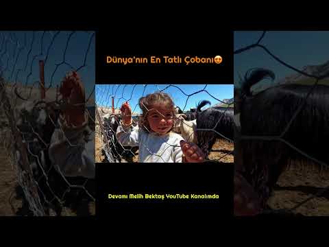 Dünya’nın En Tatlı Çobanı