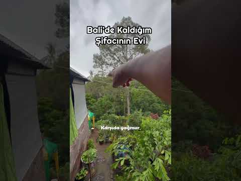 Şifacının Evinde Kaldım- Bali