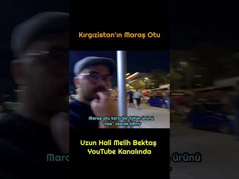 Kırgızistan’da Maraş Otu Satan Kadın