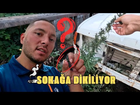 Bu Bitki Türkiyede Yasak, Kırgızistanda Sokağa Dikmişler! Karakol Vlog