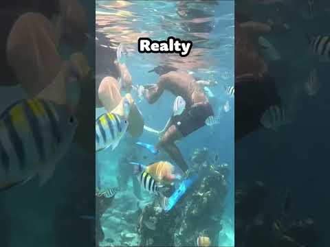 Instagram Böyle Göstermemişti 😅