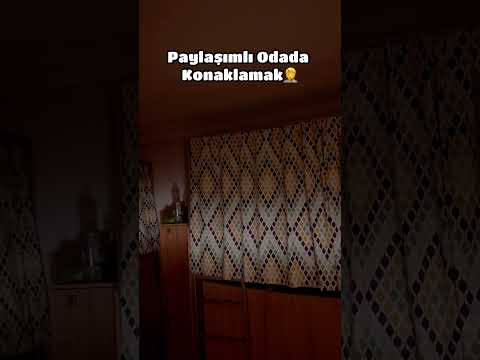 Bu Horlama Değil 🦁