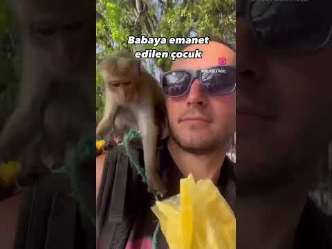 Babaya Emanet Edilen Çocuk