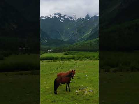 Kafkasya’nın Gölgesinde Aşk