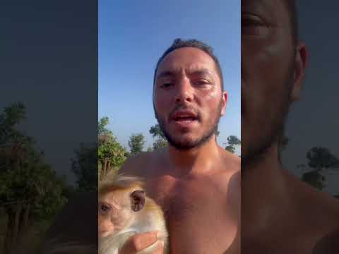 İnsanlar Vs Maymunlar