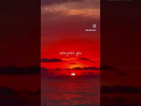 Satın Alınamayan Şeyleri Severim Ben!