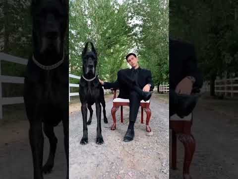 Bebek Maymun Monika Her Zamanki Gibi