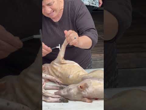 Domuz Tıraşı - Gürcistan