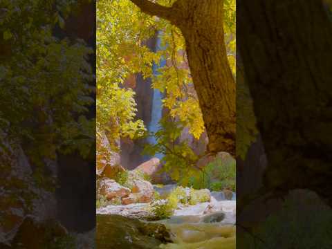 Hakkari’nin Gerçek Yüzü 🌿