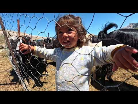 Zeynep'in Masum Dünyası -  Buzul Gölünde Yüzmek - Karagöl Kampı