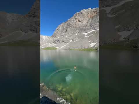 Kampçıların Dikkatine! #doğamacerası #doğatutkusu