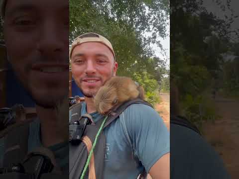 Monika’nın Eski Sahibiyle Buluşma Anı