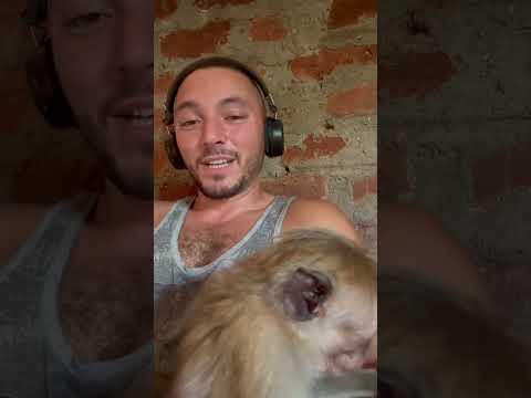 Monika İle Son Günüm