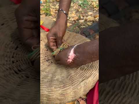 Dünya'nın En Büyük Zehirli Yılanın Çıkardığı Ses