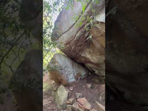 Defineciler İş Başında