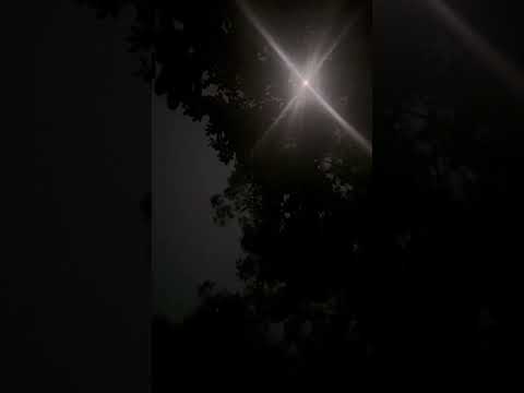 Masalsı Ateş Böcekleri ve Dolunay