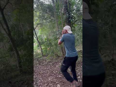 Sri Lanka Ormanları