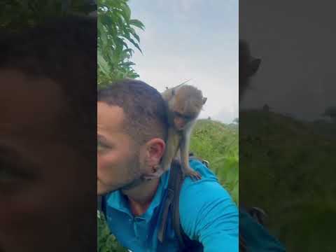 Maymunla Dünya Turu - Sri Lanka