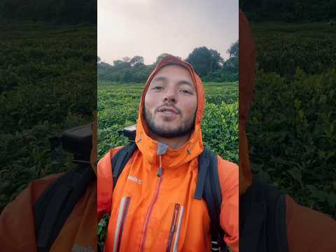 Doğa Severler Bu Uygulamayı İndirsin