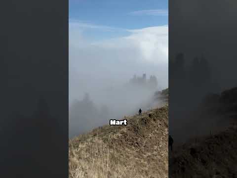 Dünyayı Gezmeye Ülkemden Başladım - Bir yıl nasıl geçti