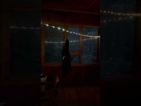 Ormanda Bulduğumuz Şömineli Ev