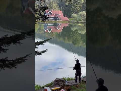 Gölcük Tabiat Parkı’nın Mevsimi Geldi