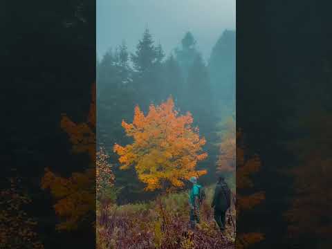 Bolu’da Sonbahar - Ayı Kayası