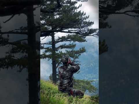 Kurtalarla Yaşayan Adam