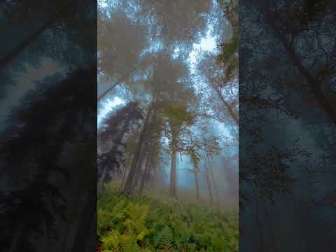 Mevsimi Sonbahar Olanlara