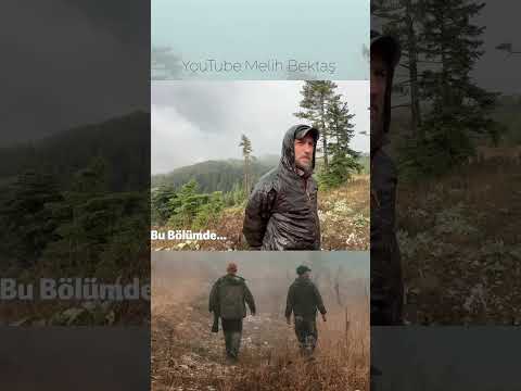 Kızıl Geyiklerin Peşinde Yaban Hayatı