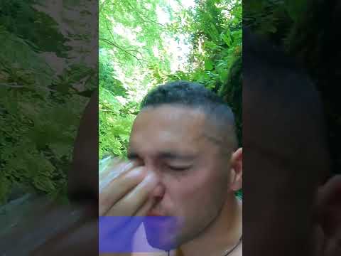 Orman Bize Ne Sunuyor ?