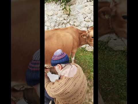 Kaçkarlarda Yaşayan Abdullah Amca