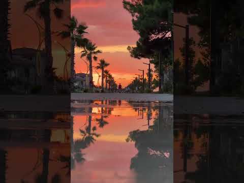 Karasu Gün Batımı  (Huzur Verici)